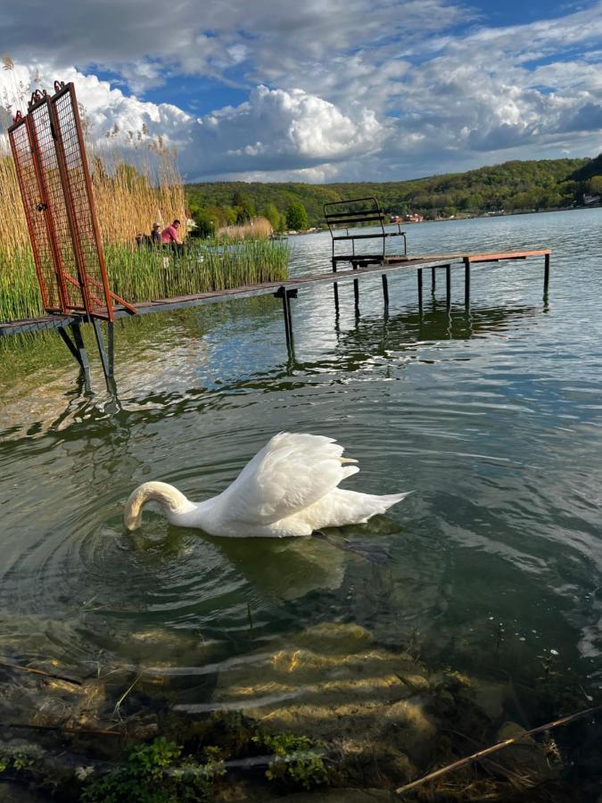 Будинок відпочинку Heart-a-land Vendeghaz